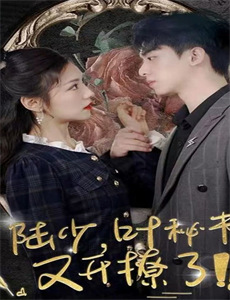 夏目友人帐 第四季